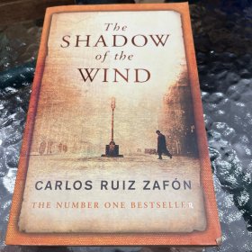 The Shadow of the Wind