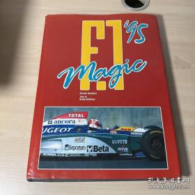 f.1 magic '95 F1赛车 内有大量精美图片