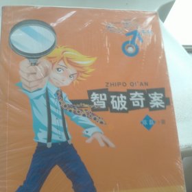 智破奇案