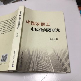 中国农民工市民化问题研究