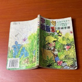 九年义务教育六年制小学三年级用图解手册——字词句段篇章