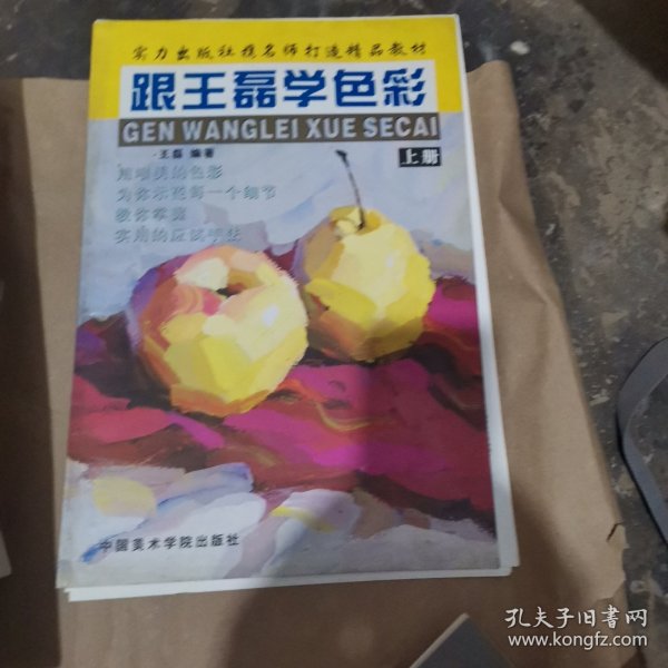 跟王磊学色彩