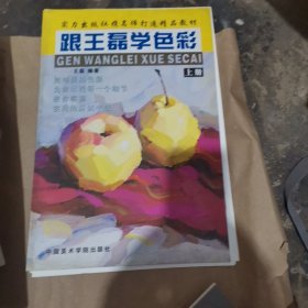 跟王磊学色彩