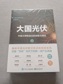 大国光伏：中国王牌制造业的突围与崛起（上、下）