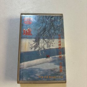 磁带 雪城