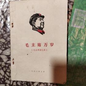 毛主席万岁(毛主席回忆录)