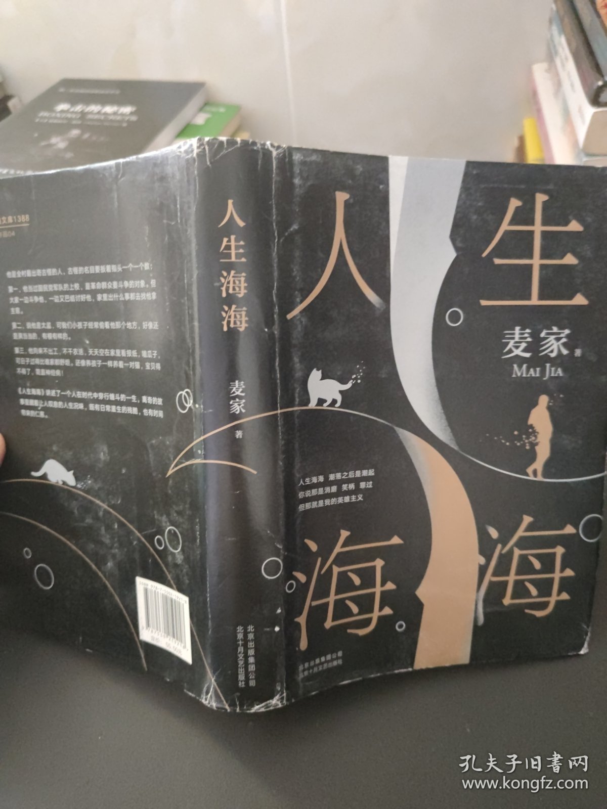 麦家：人生海海（茅盾文学奖得主麦家2019年强力之作）