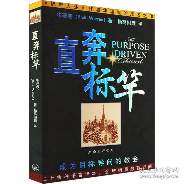 直奔标竿 9787542633521