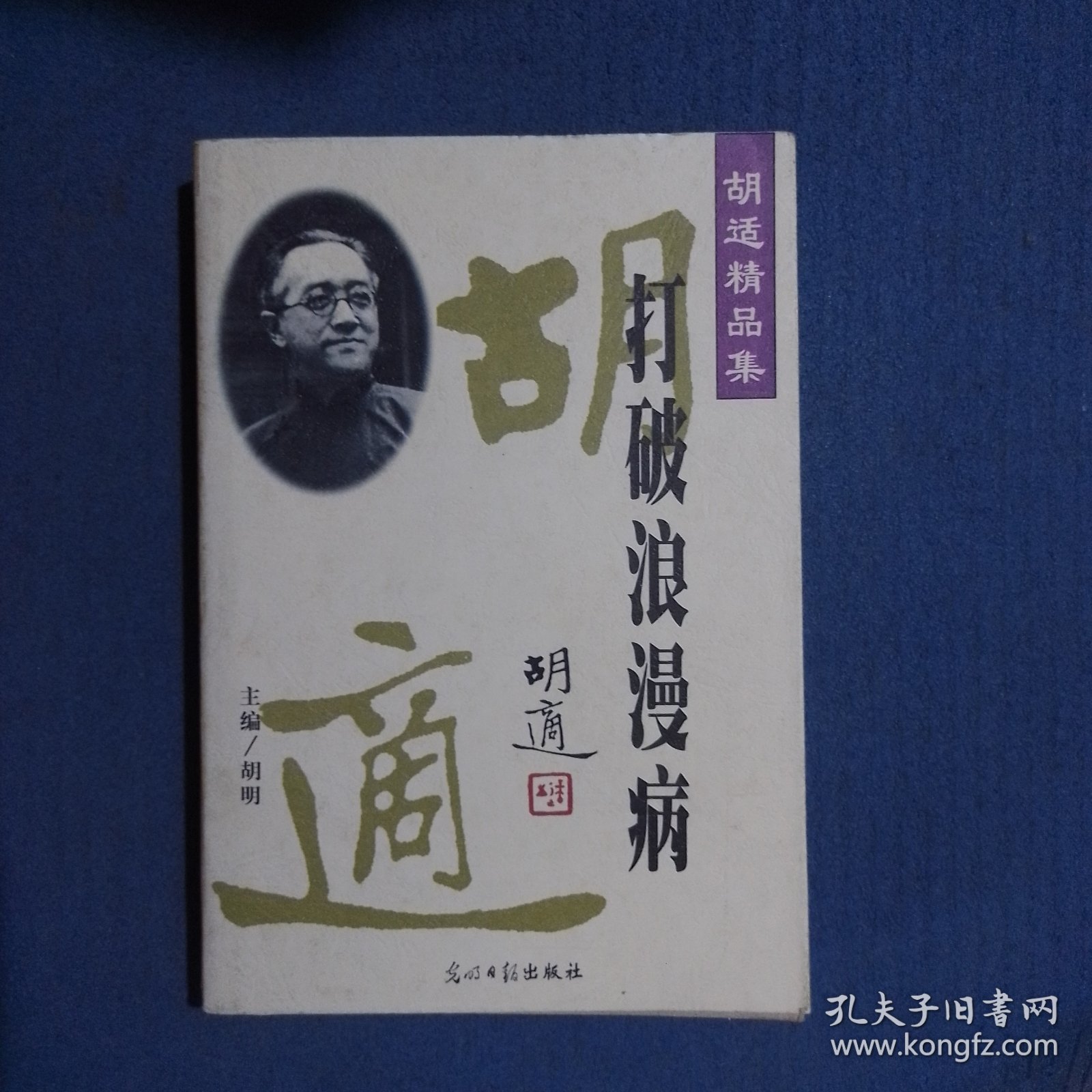 胡适精品集10：打破浪漫病（馆藏）