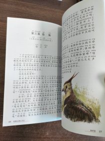 森林报/新课标名著小书坊