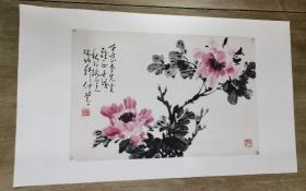 邵仲节牡丹（画芯68x45㎝）