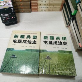 新疆兵团屯垦戍边史.上下卷【品看图】