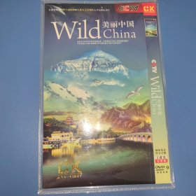 美丽中国DVD