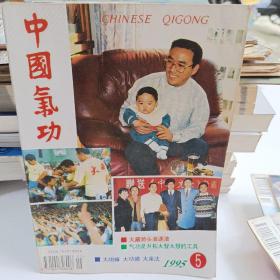 中国气功 1995 5