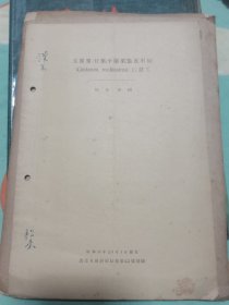 中国栗 甘栗 平壤栗