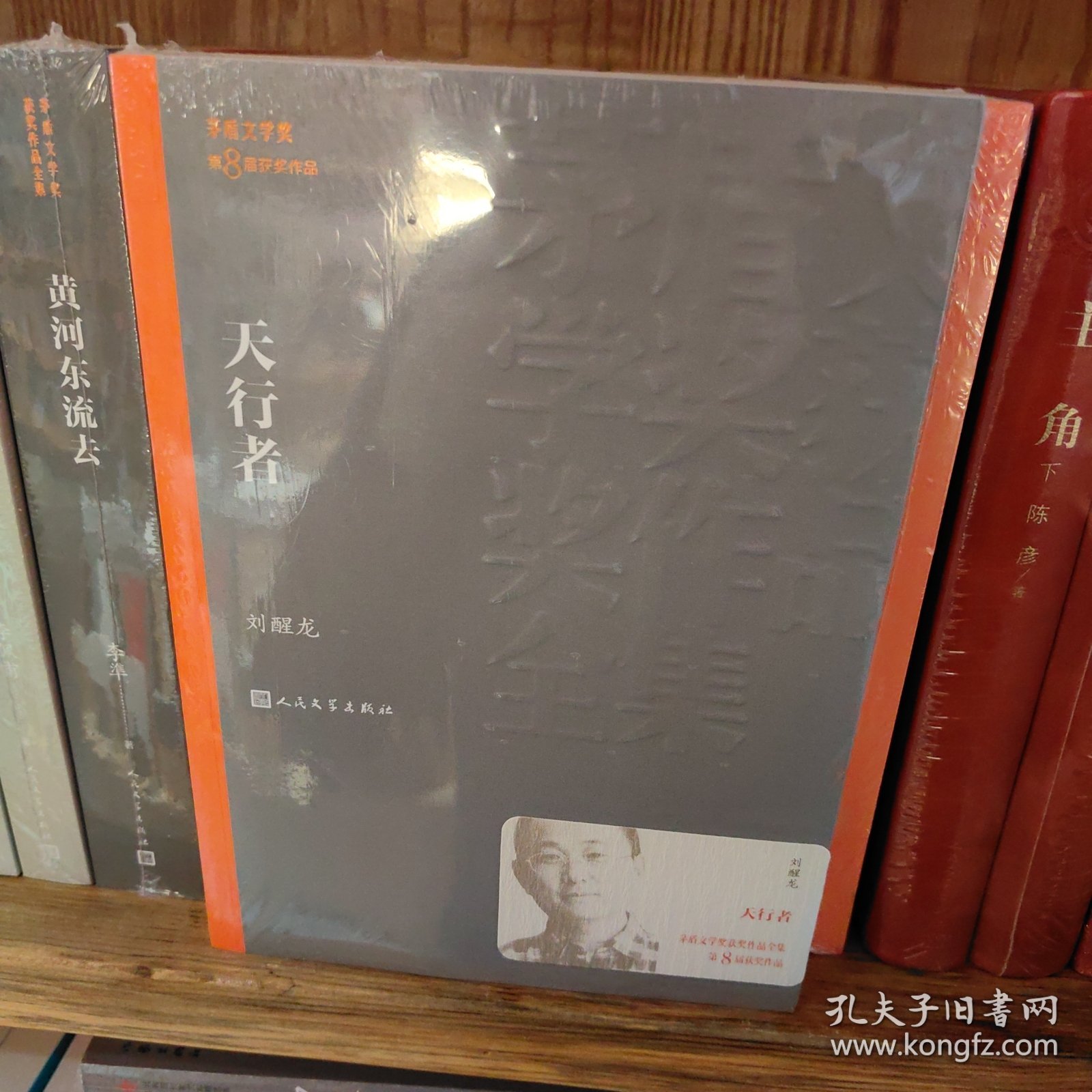 茅盾文学奖获奖作品全集：天行者