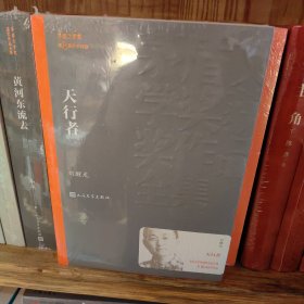 茅盾文学奖获奖作品全集：天行者