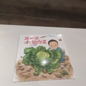 第一次种圆白菜