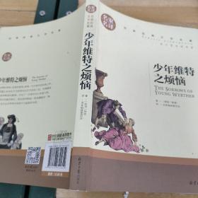 少年维特之烦恼