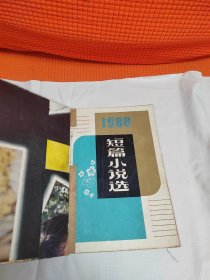 1980短篇小说选