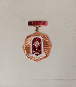 八十年代清华大学体育运动会奖章，品如图