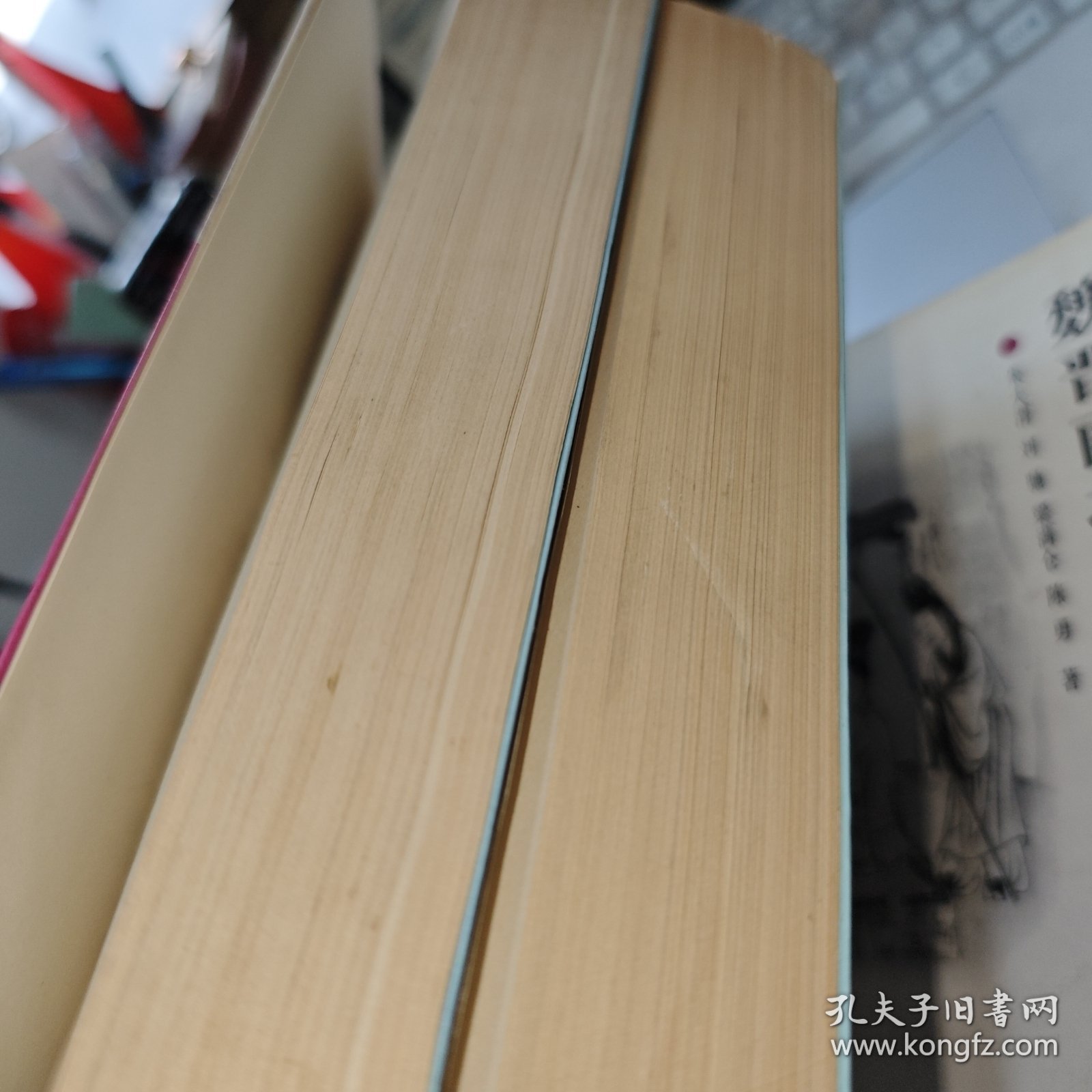 近代中国娼妓史料 上下