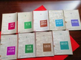 数学小丛书1从杨辉三角谈起、2对称、3从祖冲之的圆周率谈起、4力学在几何中的一些应用、6格点和面积、7一笔画和邮递路线问题、8从刘徽割圆谈起、11等周问题、13复数与几何 共9本合售