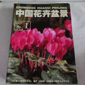 中国花卉盆景2007年1--12  现货