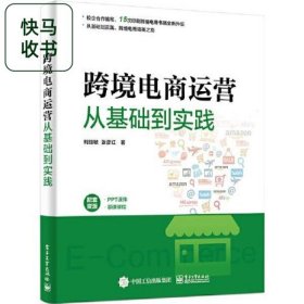 跨境电商运营从基础到实践 柯丽敏 电子工业出版社 9787121391477