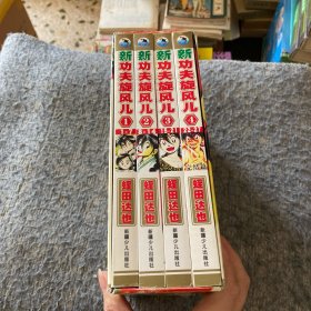 新功夫旋风儿 1-4全 盒装