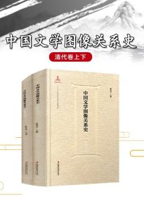 正版中国文学图像关系史·清代卷·（上下）赵宪章 等编 中国古代历史文化文学史研考研 历代绘图艺术理论参考文献