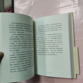 万物皆数:从史前时期到人工智能，跨越千年的数学之旅