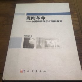 规则革命 中国经济现代化的路径探索B2.16K.X