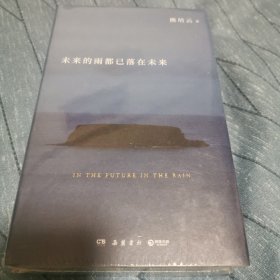 未来的雨都已落在未来