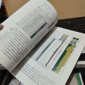 CPLog成像测井新技术应用典型案例（内页干净无笔记，详细目录参照书影）客厅1-3