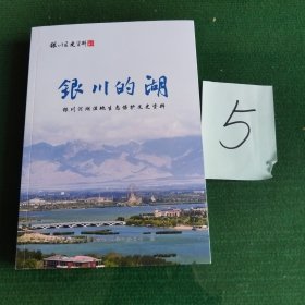 银川的湖