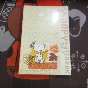 SNOOPY 史努比软抄本A004（每本16 页10本合售）32开
