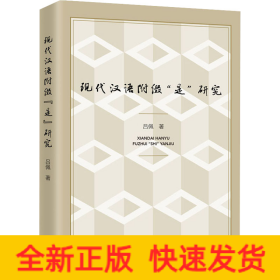 現(xiàn)代漢語附綴