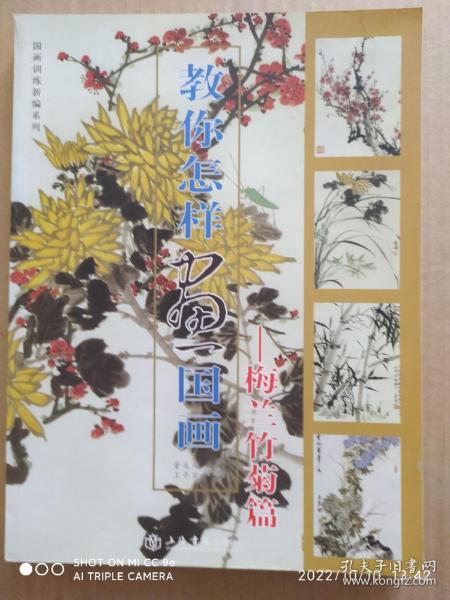 国画训练新编——教你怎样画国画-梅兰竹菊篇