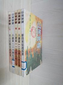 山河呼啸—中国共产党武装力量抗战纪实丛书 5册全