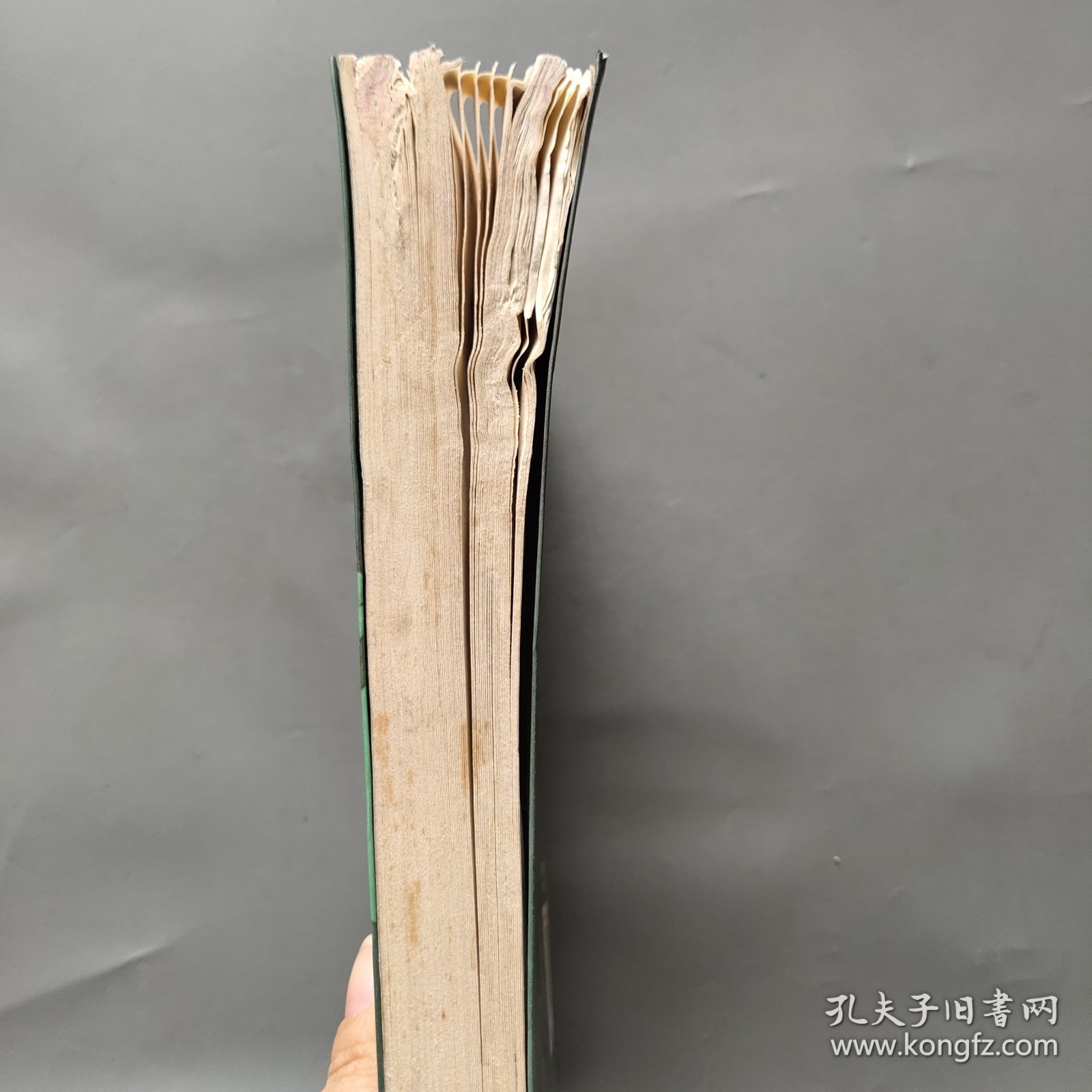 新星奇幻小说系列 雪公主