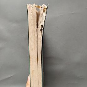 新星奇幻小说系列 雪公主