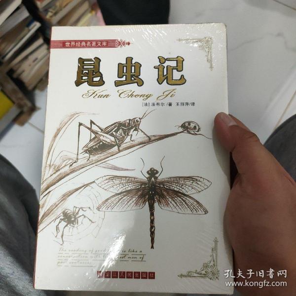 世界经典名著文库：昆虫记