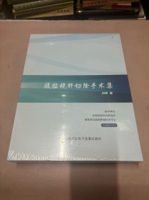 腹腔镜肝切除手术集（12张DVD）