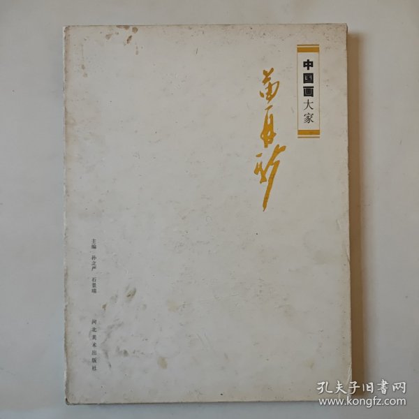 中国画大家.苗再新（大16开本精装本铜版纸画册）