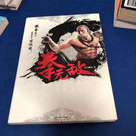 拳无敌：The Invincible Fist