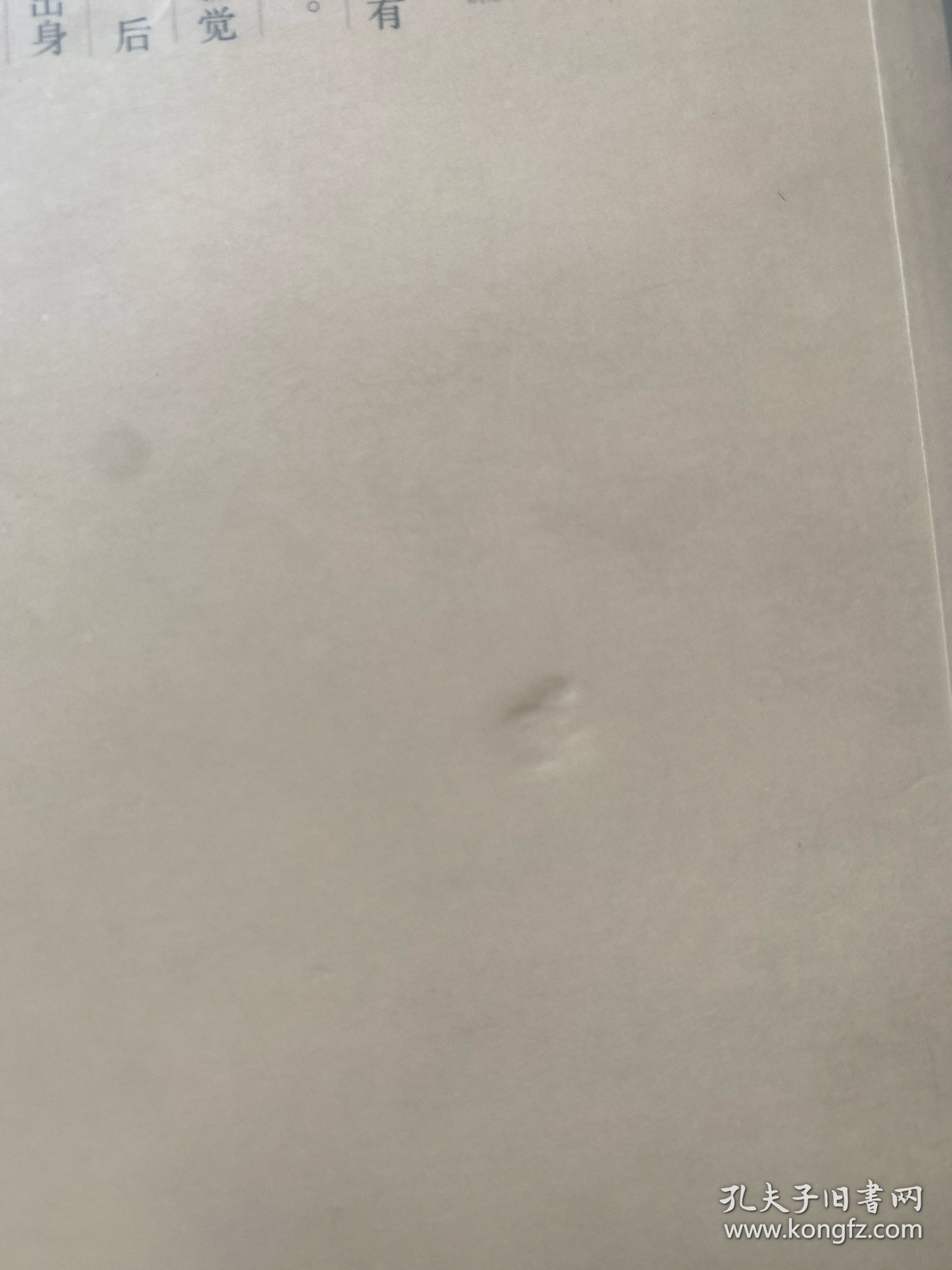 溥心畲传（王家诚传记精品系列）