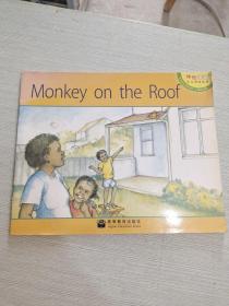 Monkey on the Roof