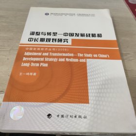 调整与转型：中国发展战略和中长期规划研究