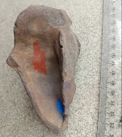 石头。个性石胚